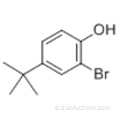 Fenol, 2-bromo-4- (1,1-dimetiletil) CAS 2198-66-5